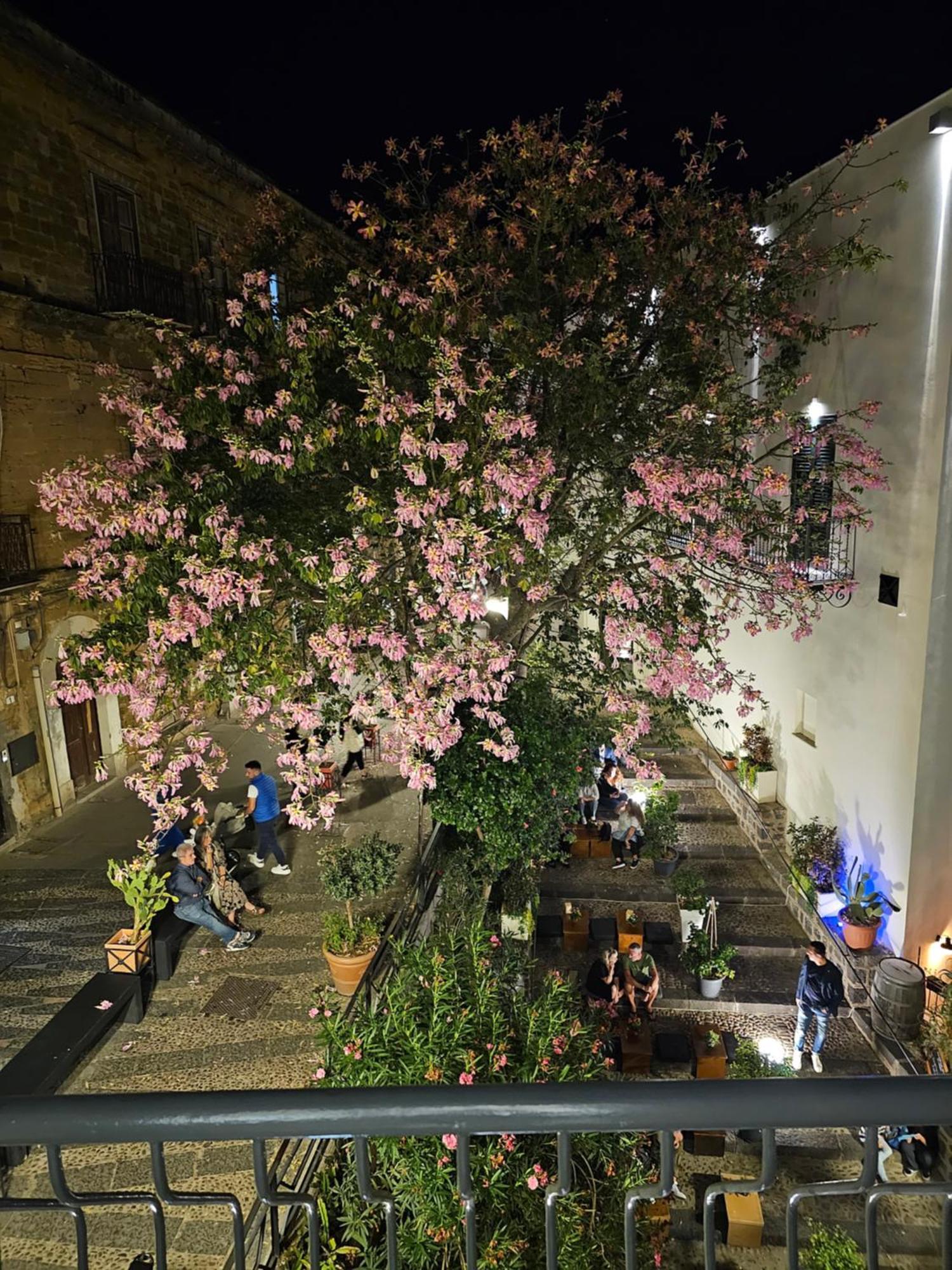 Villa Di Giorgi Apartments Center Cefalu Ngoại thất bức ảnh
